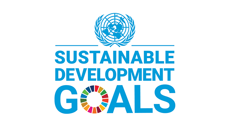 How can Businesses contribute to achieving SDG 8?